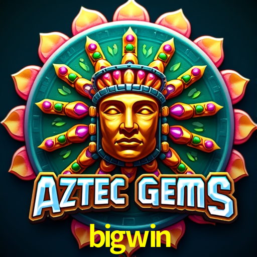 Explore as vantagens do bigwin: serviço profissional e confiabilidade